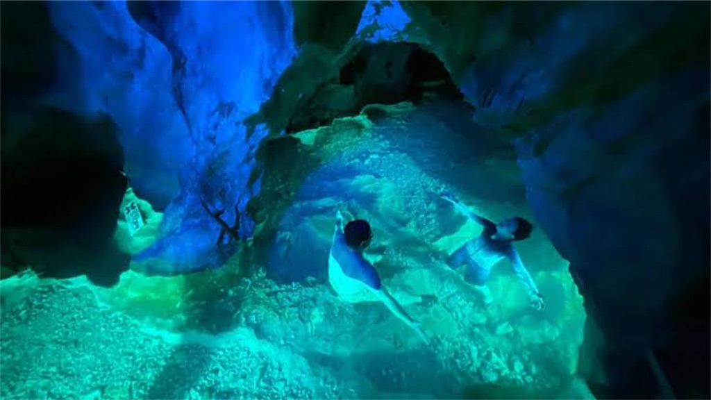 f:id:muginokurasi:20220415213228j:image f:id:muginokurasi:20220415213228j:image