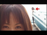 f:id:mugiwara-kun:20090315233227j:image