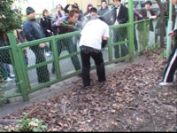 f:id:mugiwara-kun:20090318211649j:image
