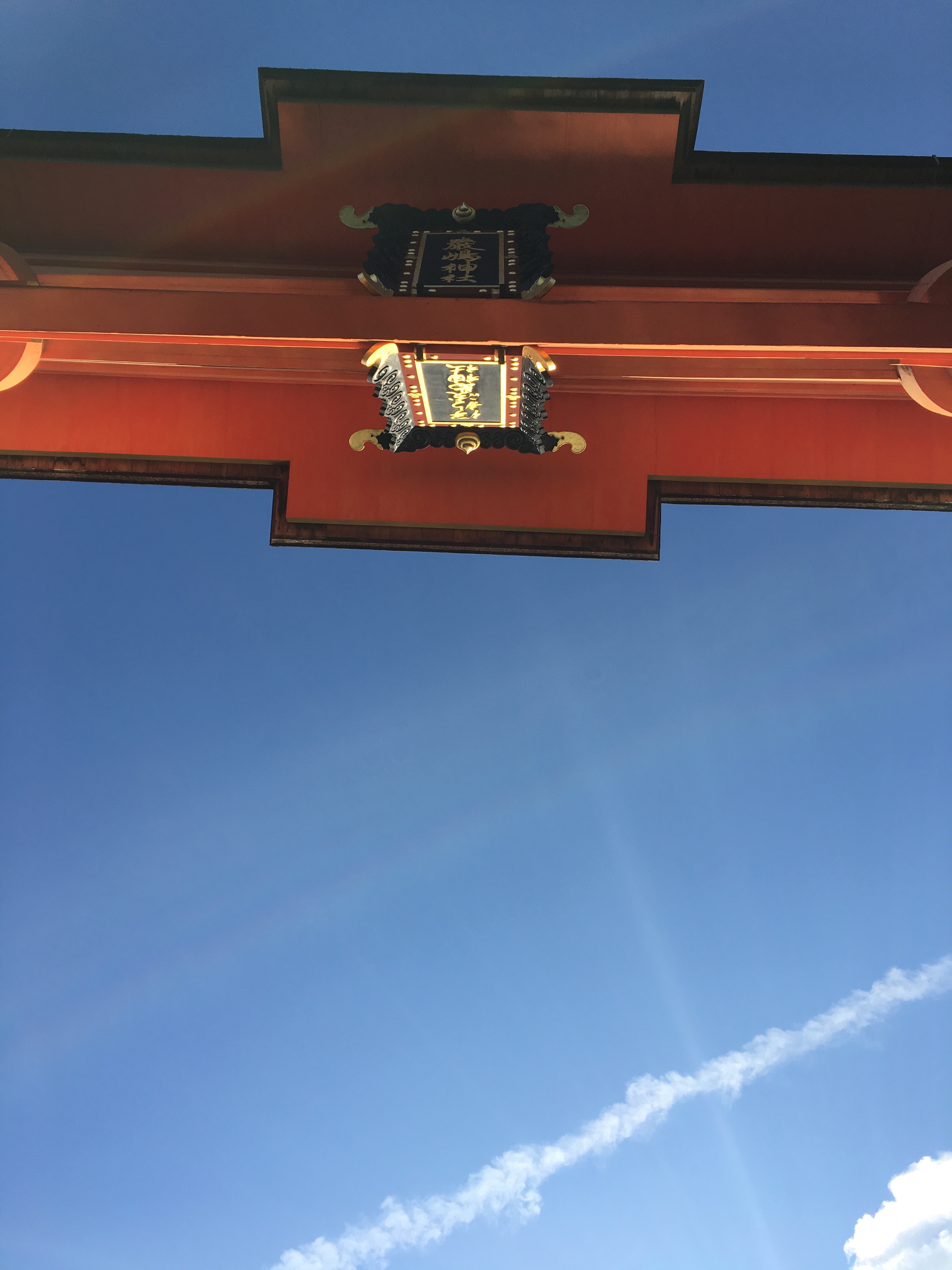 f:id:mugiwaranosana:20210515204716j:image f:id:mugiwaranosana:20210515204716j:image
