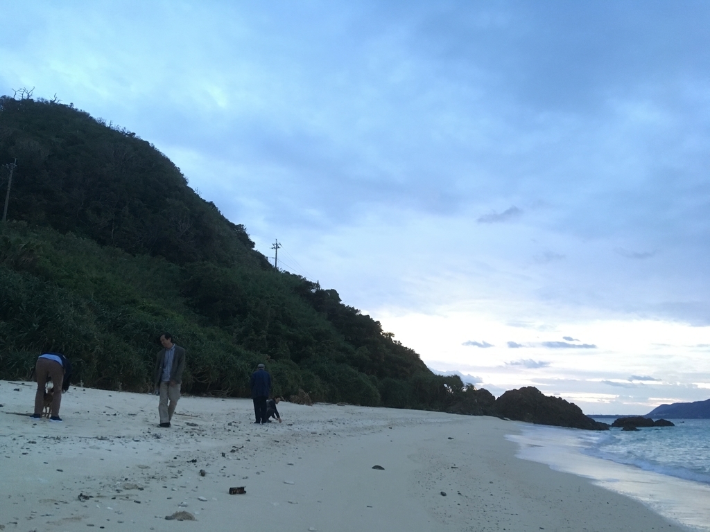 f:id:mugmum:20190101003348j:plain