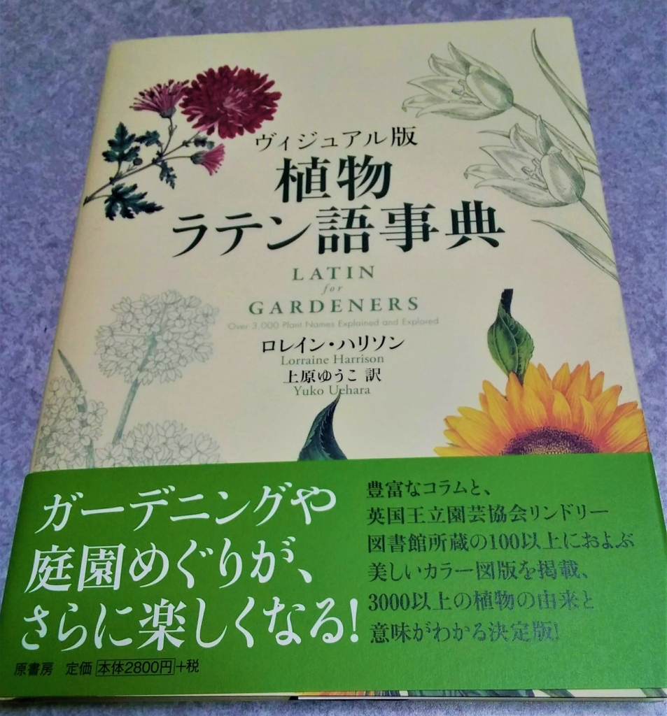 f:id:mugwort_biwa:20180708174059j:plain f:id:mugwort_biwa:20180708174059j:plain
