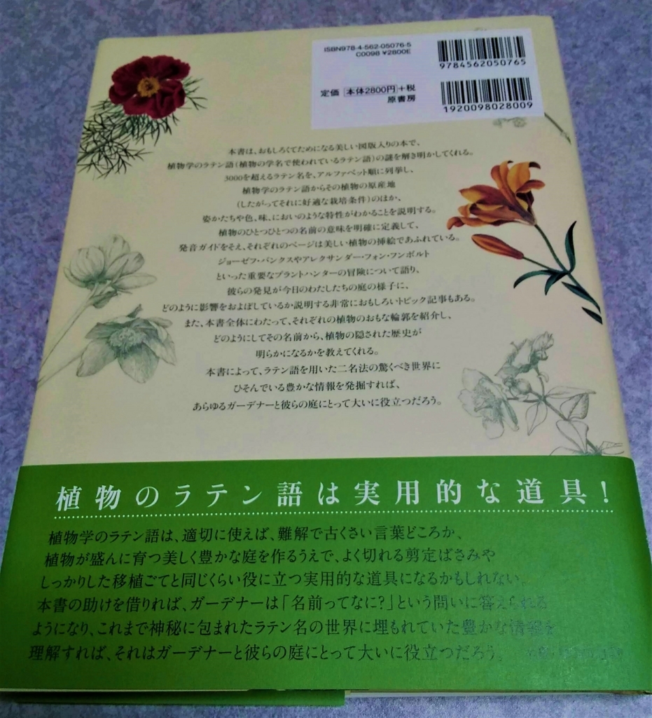 f:id:mugwort_biwa:20180708174110j:plain f:id:mugwort_biwa:20180708174110j:plain