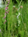f:id:mugyo-cap:20120728085329j:image:medium