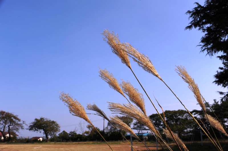 f:id:mugyo-cap:20121021122212j:image:w360
