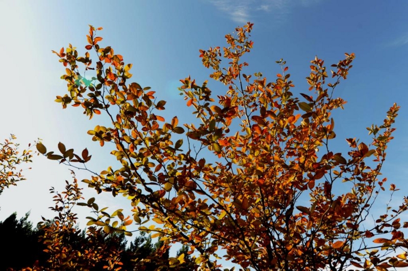 f:id:mugyo-cap:20121021145013j:image:w360
