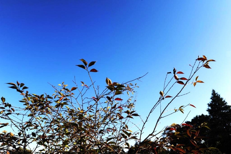 f:id:mugyo-cap:20121021145247j:image:w360