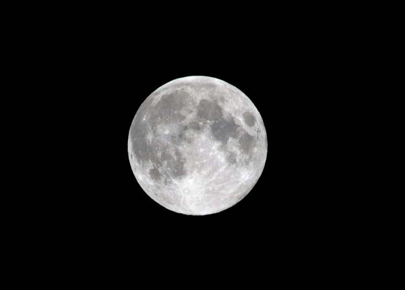 f:id:mugyo-cap:20130919213849j:image:w360:left