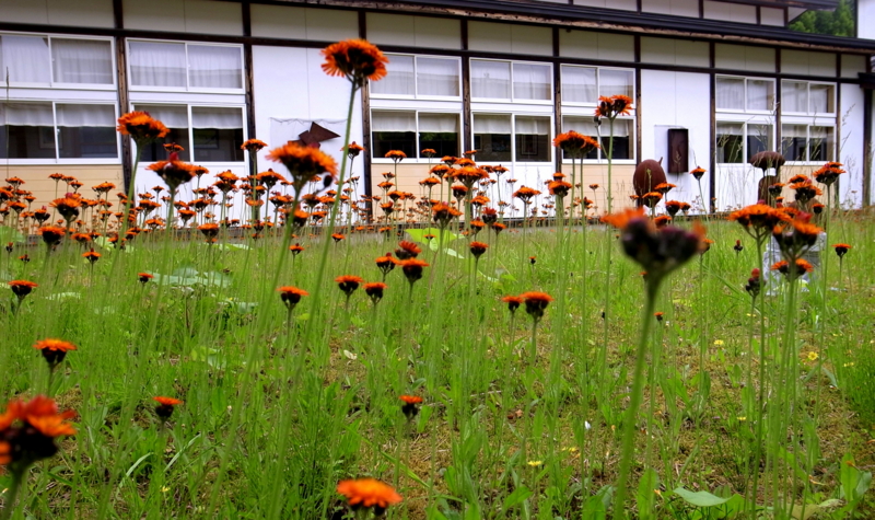 f:id:mugyo-cap:20140628103059j:image:w640