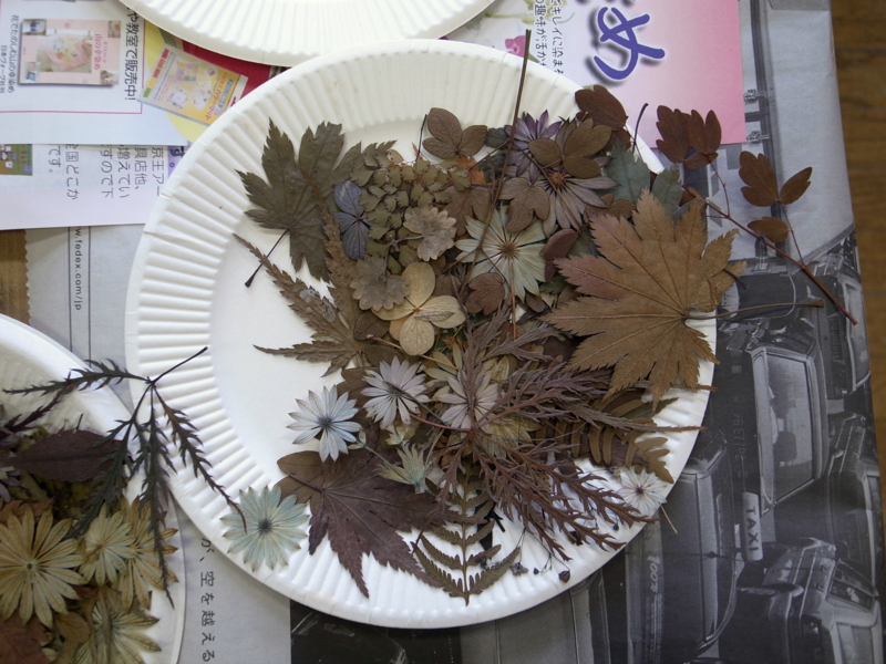 f:id:mugyo-cap:20140810114800j:image:w360