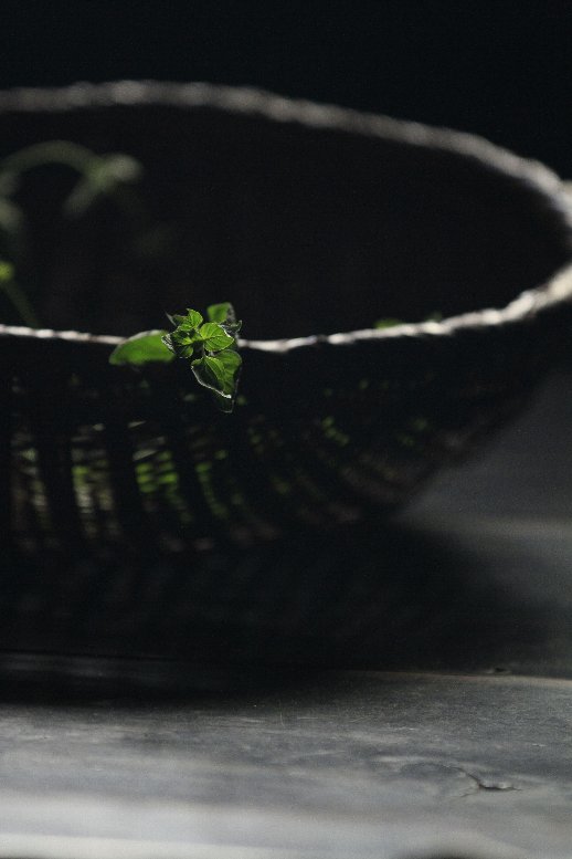 f:id:mugyo-cap:20150423200258j:image