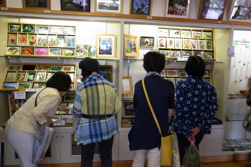 f:id:mugyo-cap:20180712220605j:image:w360