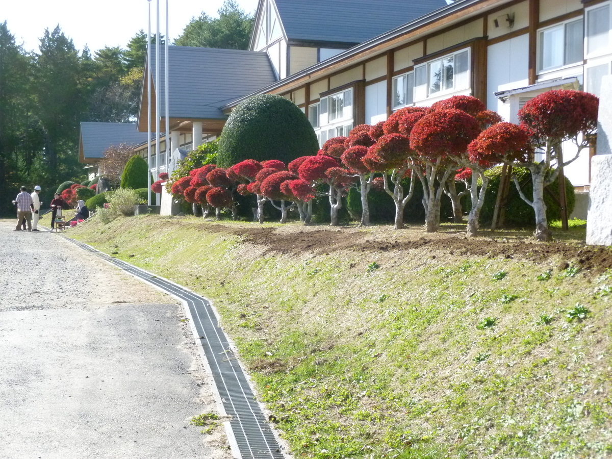 f:id:mugyo-cap:20191113182721j:plain f:id:mugyo-cap:20191113182721j:plain