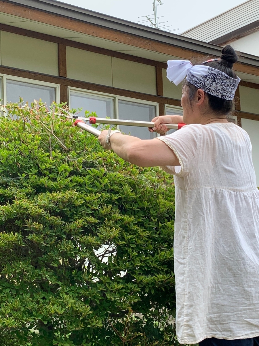 f:id:mugyo-cap:20210807204411j:plain