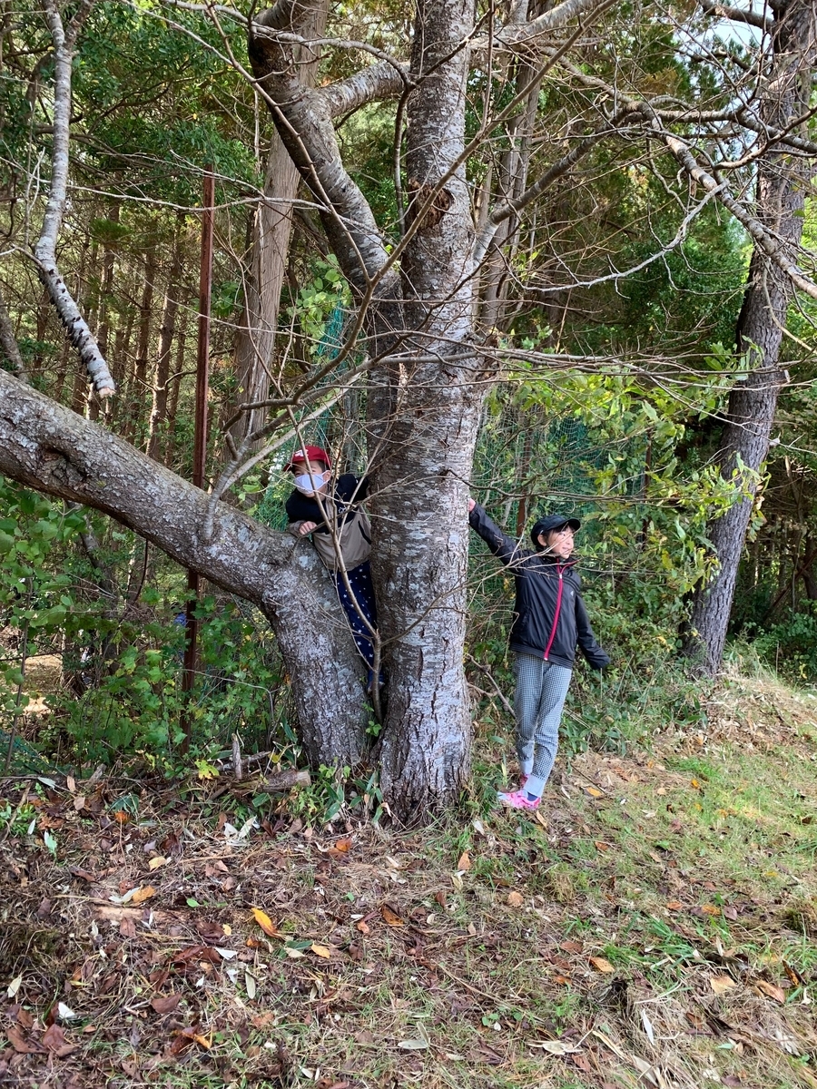f:id:mugyo-cap:20211018153822j:plain