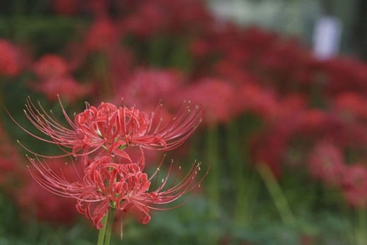 f:id:mui_caliente:20121002151225j:image