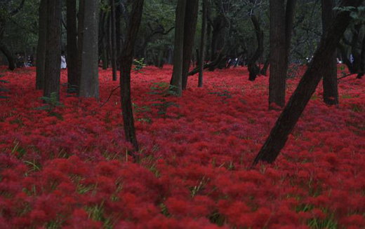 f:id:mui_caliente:20121002153143j:image