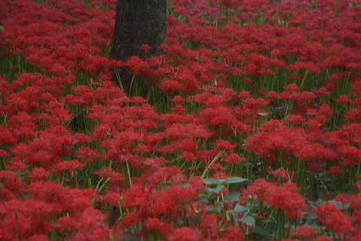 f:id:mui_caliente:20121002155532j:image