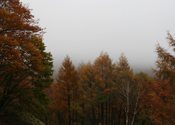 f:id:mui_caliente:20141022091424j:image f:id:mui_caliente:20141022091424j:image