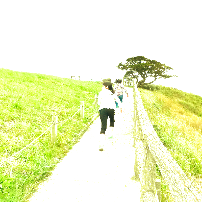 f:id:muimix:20200525223604p:plain