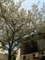 20140406210135