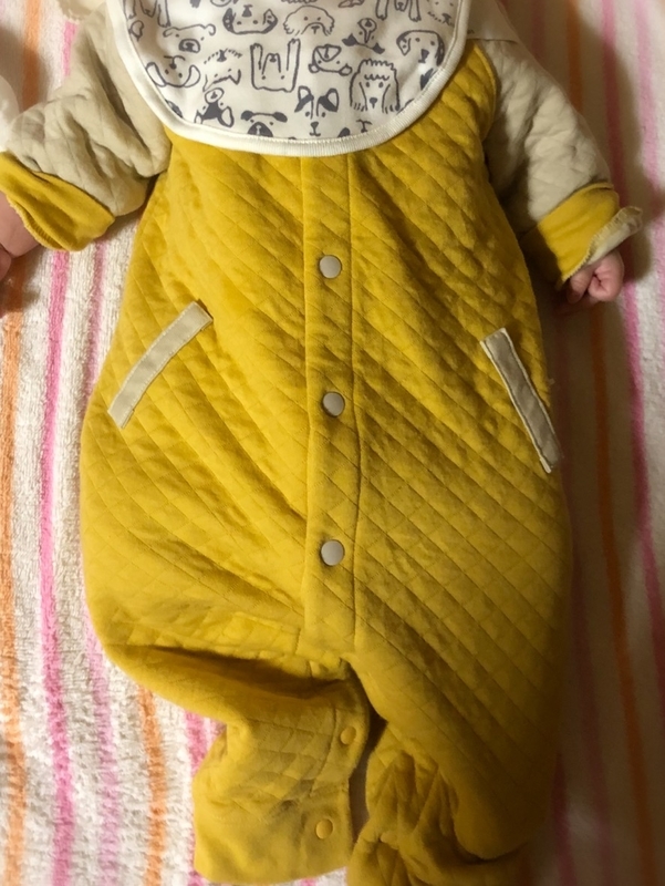 f:id:muimoi:20201208234819j:image