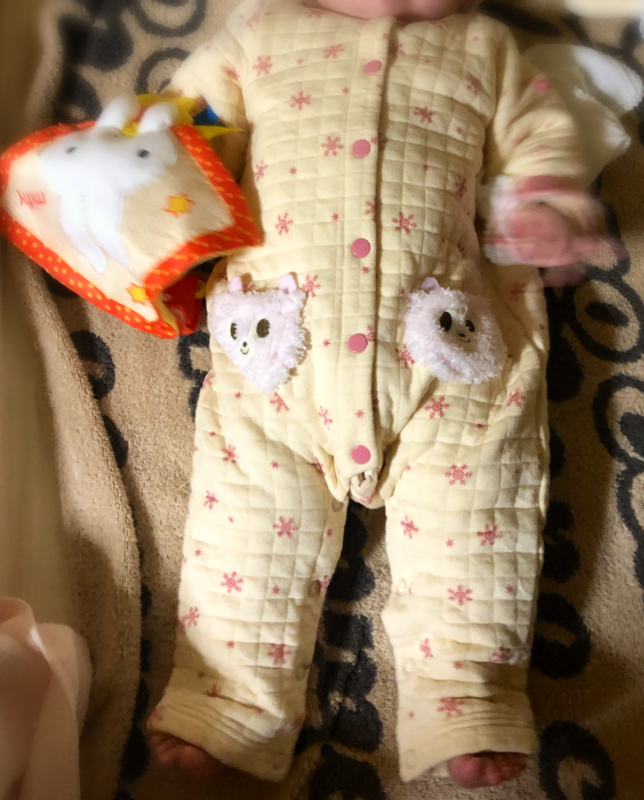 f:id:muimoi:20210211234227p:image