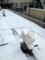 20150130123743