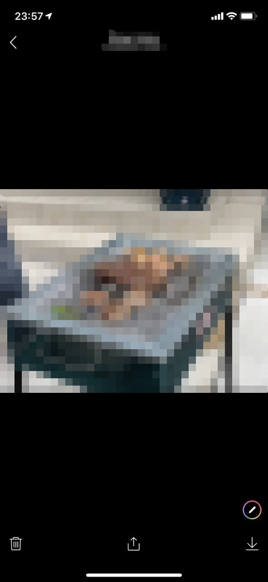 f:id:muimuim:20190503000301j:plain