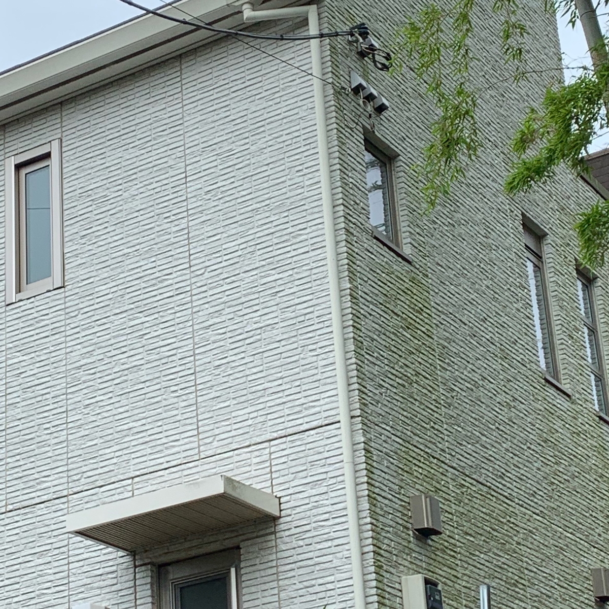 f:id:muimuim:20190604070755j:plain