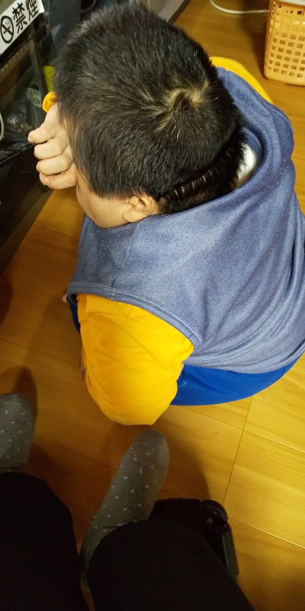f:id:muinge:20191023235630j:plain