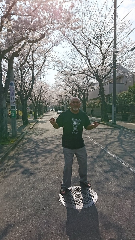 イメージ 2