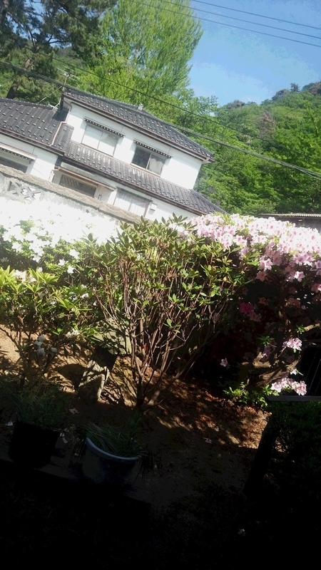 イメージ 1