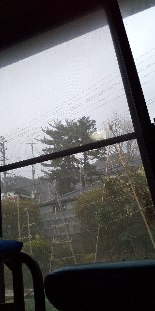 f:id:muinge:20200223233206j:image