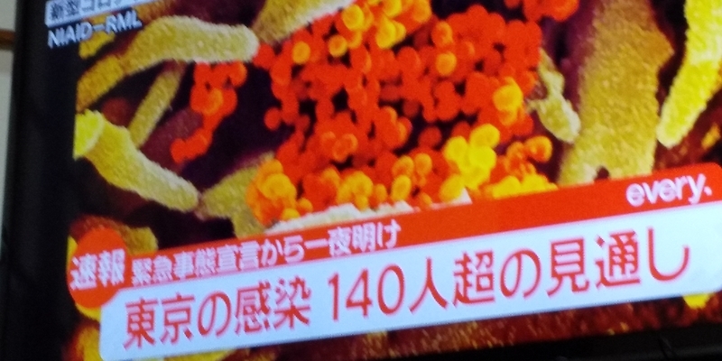 f:id:muinge:20200408170144j:plain