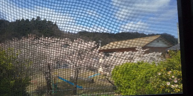 f:id:muinge:20200410224528j:image