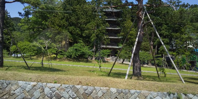 f:id:muinge:20200706223254j:image