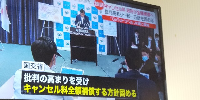 f:id:muinge:20200720172754j:image
