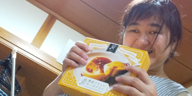 f:id:muinge:20200827200231j:image