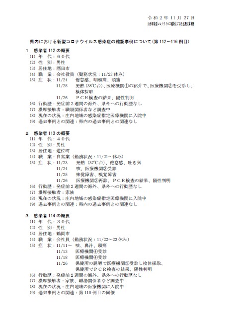 f:id:muinge:20201127160508j:image
