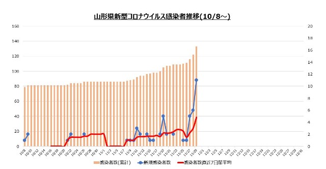 f:id:muinge:20201129120127j:image