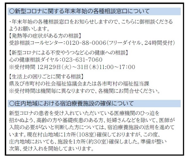 f:id:muinge:20201229172116j:image