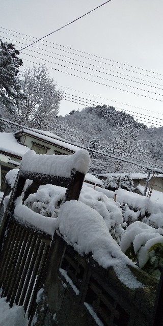 f:id:muinge:20210105213139j:image