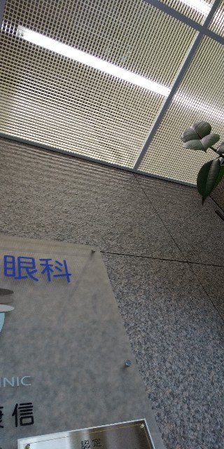 f:id:muinge:20210123000116j:image