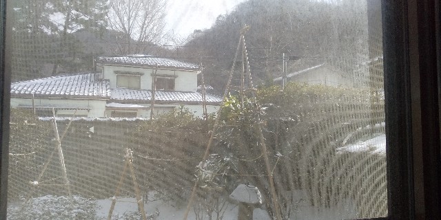 f:id:muinge:20210130210110j:image