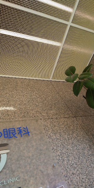f:id:muinge:20210213000753j:image