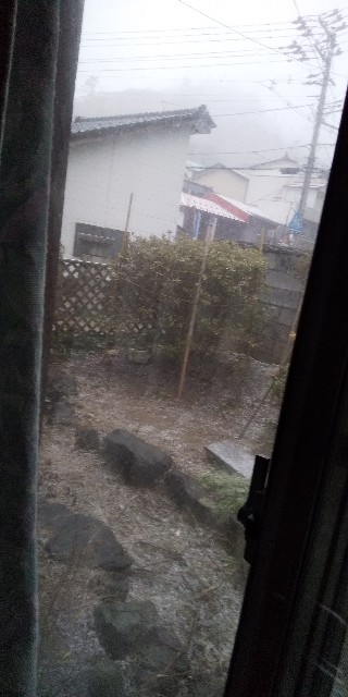 f:id:muinge:20210223104827j:image