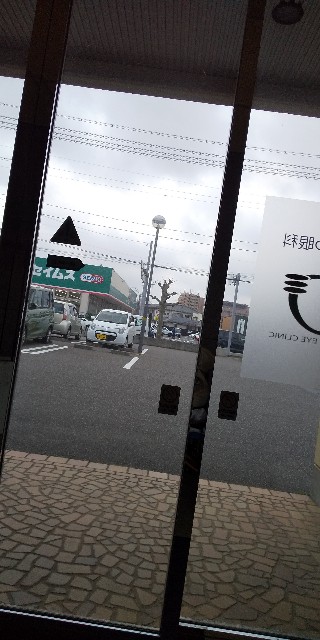 f:id:muinge:20210326223931j:image
