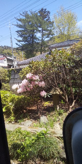 f:id:muinge:20210426235534j:image