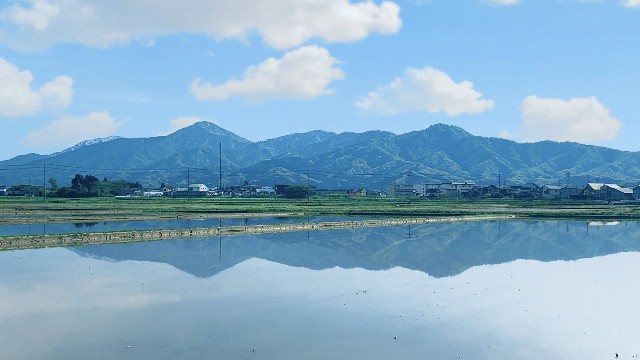 f:id:muinge:20210509213829j:image